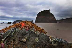 Moonstone Beach-3206.jpg Moonstone Beach-3206.jpg